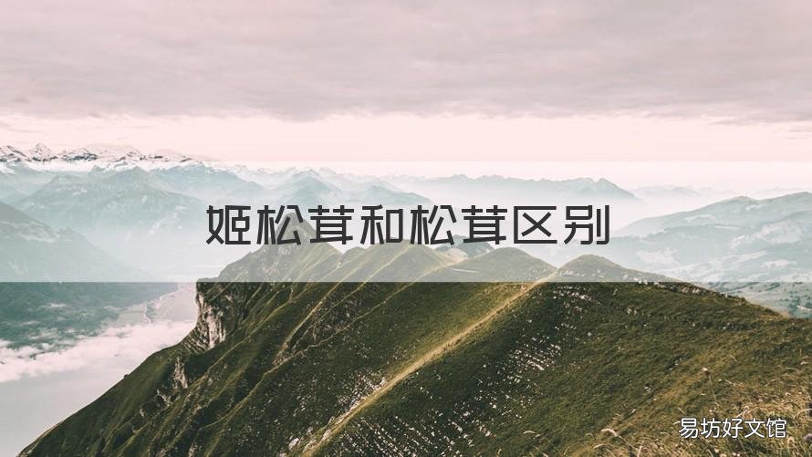姬松茸和松茸区别 姬松茸和松茸区别是什么