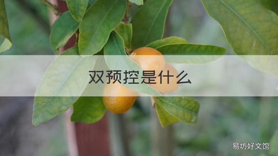 双预控是什么 双预控的意义