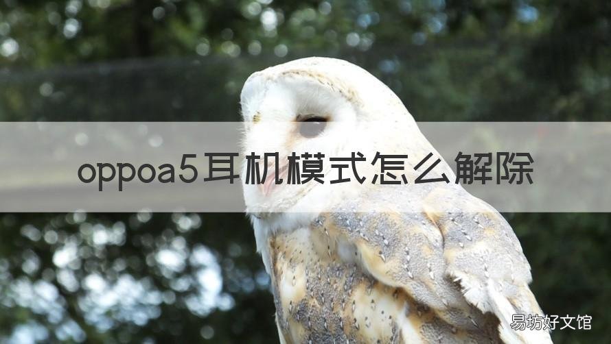 oppoa5耳机模式怎么解除 oppoa5怎么关掉耳机模式