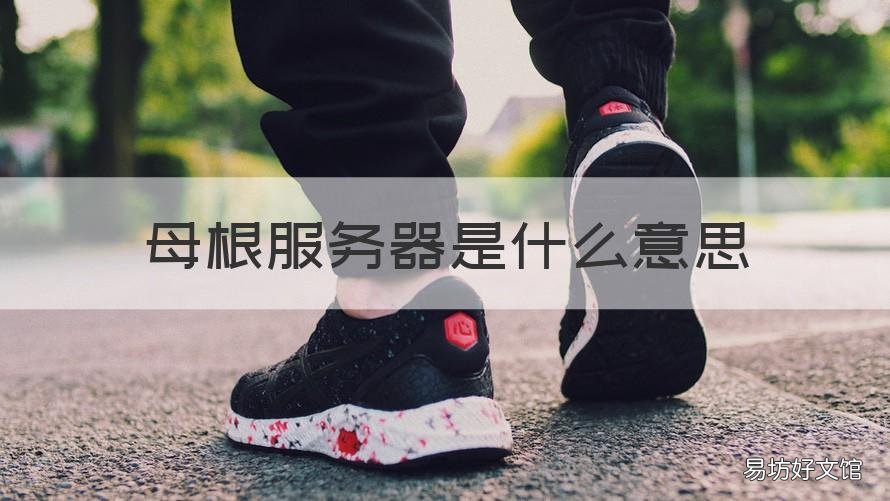 母根服务器是什么意思 根服务器的作用