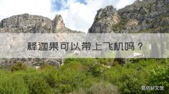 释迦果可以带上飞机吗 飞机上能带释迦果吗