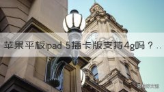 苹果平板ipad 5插卡版支持4g吗 ipad4支持4g卡吗