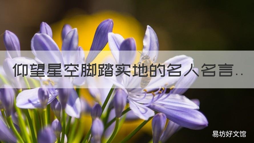 仰望星空脚踏实地的名人名言 仰望星空脚踏实地的名人名言有哪些
