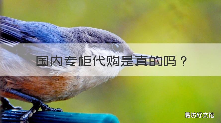 国内专柜代购是真的吗 国内品牌代购是真是假