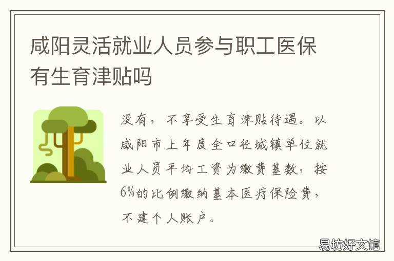 咸阳灵活就业人员参与职工医保有生育津贴吗 咸阳灵活就业人员医保