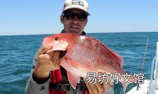东南风钓鱼好吗 秋冬东南风钓鱼好吗