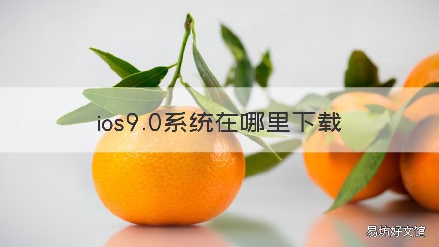 ios9.0系统在哪里下载