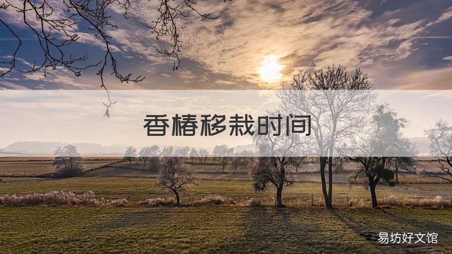 香椿移栽时间 香椿几月移栽