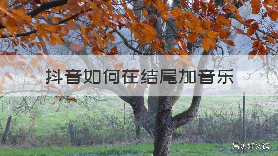 抖音如何在结尾加音乐 抖音结尾加音乐怎么加