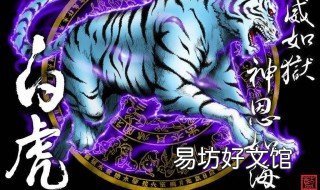 左青龙右白虎怎么定左右 左青龙右白虎是