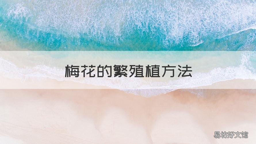 梅花的繁殖植方法 梅花的栽培和繁殖的方法