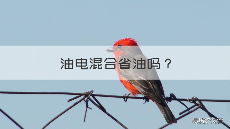 油电混合省油吗 油电混合为何省油