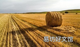 小麦用什么拌种剂好 小麦种拌种剂什么剂型比较好