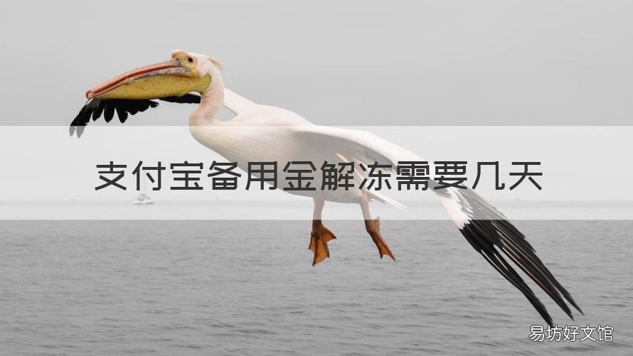 支付宝备用金解冻需要几天 支付宝备用金被冻结多久会解封