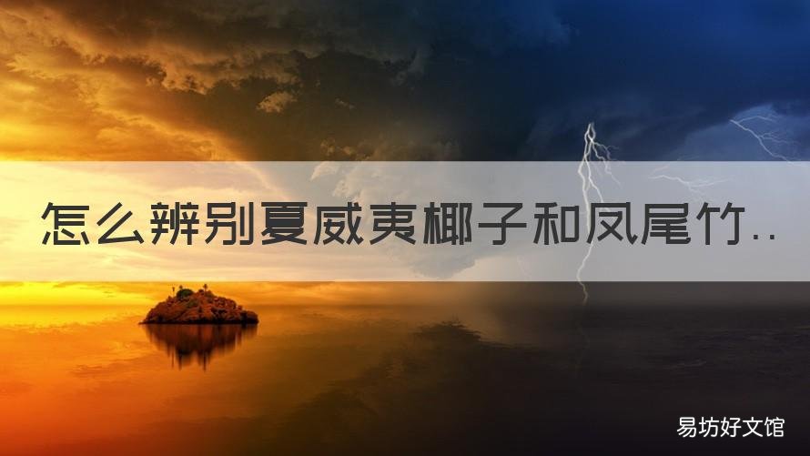怎么辨别夏威夷椰子和凤尾竹 夏威夷椰子树和散尾竹