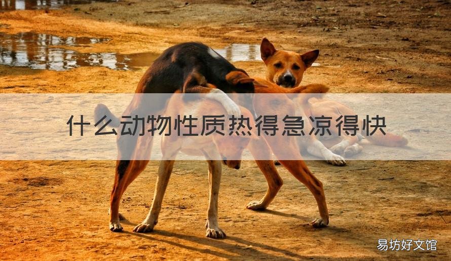 什么动物性质热得急凉得快 什么动物热得急,凉得快
