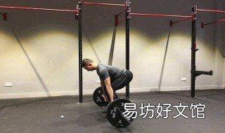杠铃训练动作大全 杠铃训练动作大全视频