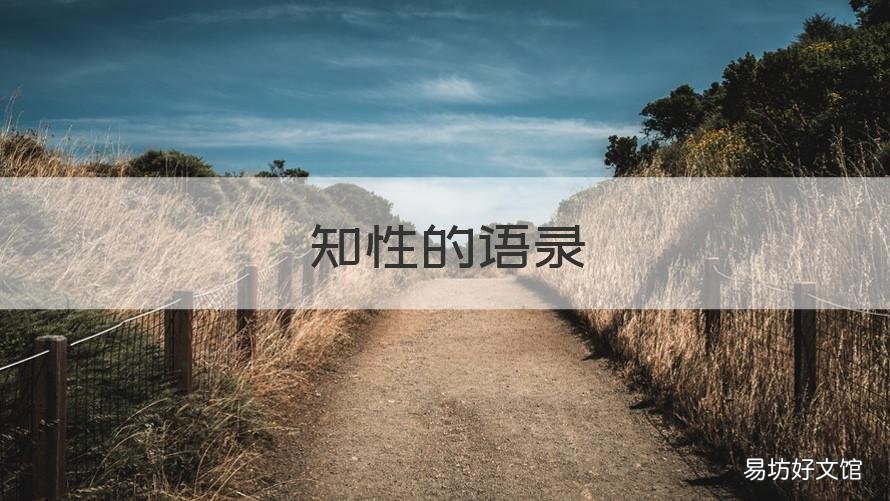 知性的语录 知性的说说