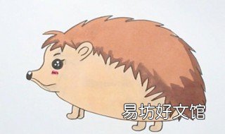 刺猬怎么画 刺猬怎么画 一步一步