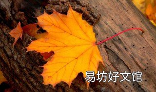 为什么秋天感觉有点凄凉 为什么秋天有一种凄凉感觉