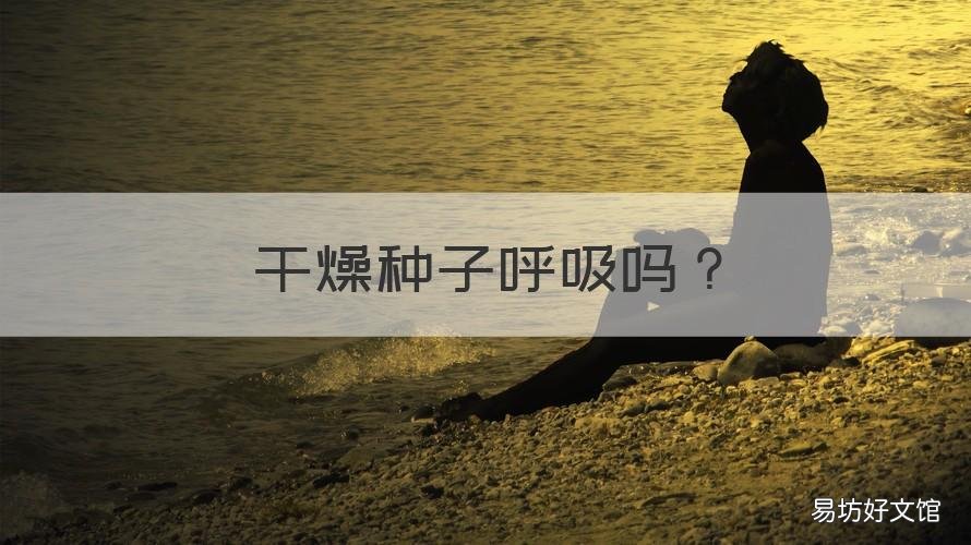 干燥种子呼吸吗 干燥的种子是生物吗