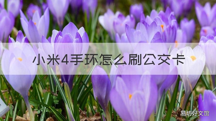 小米4手环怎么刷公交卡 小米手环4刷公交卡怎么操作