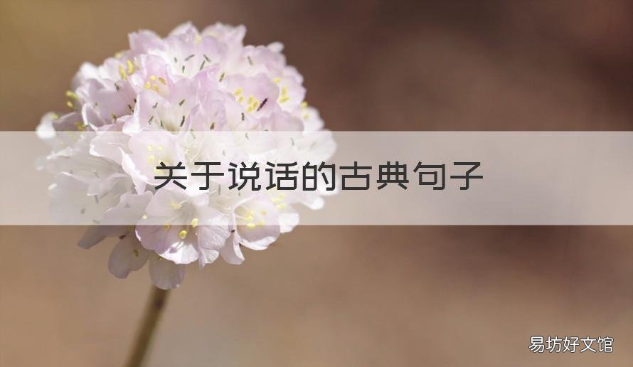 关于说话的古典句子 关于说话的古典句子有哪些