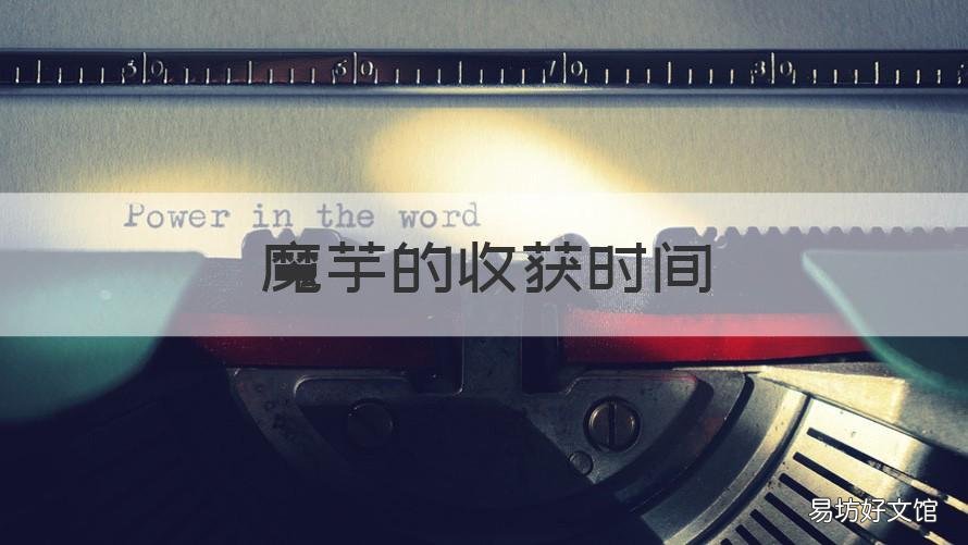 魔芋的收获时间 魔芋的收获时间是几月份