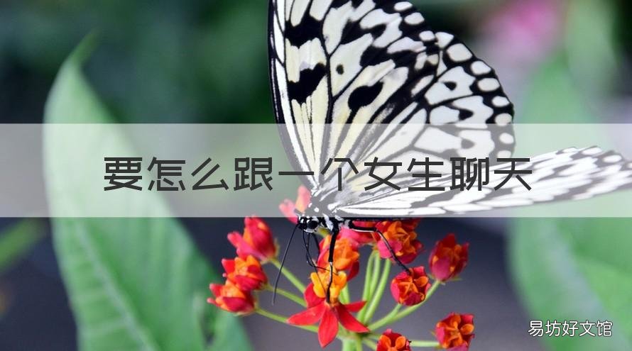 要怎么跟一个女生聊天 该怎么和一个女生聊天