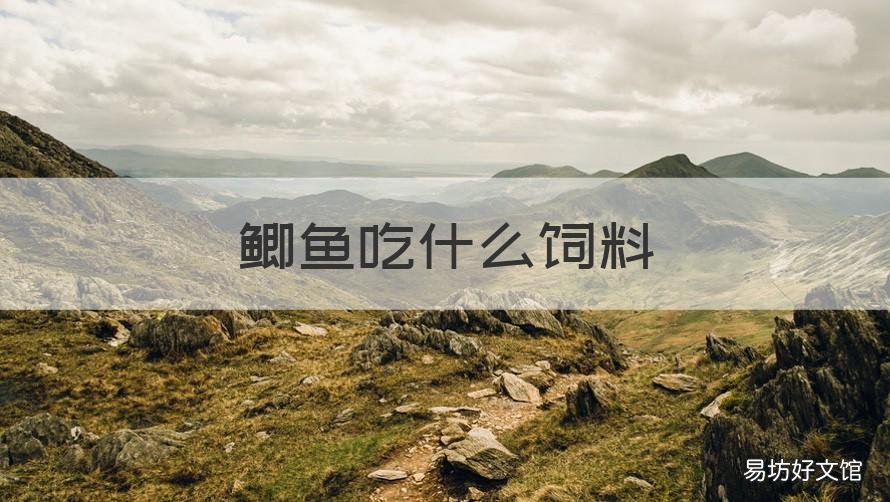 鲫鱼吃什么饲料 中科五号鲫鱼吃什么饲料