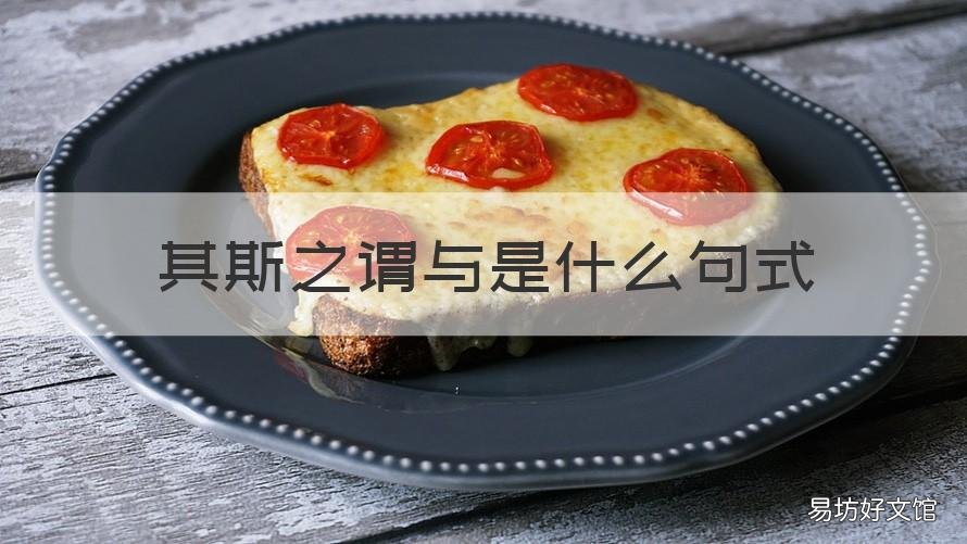 其斯之谓与是什么句式 其斯之谓也句式
