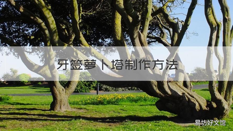 牙签萝卜塔制作方法 牙签萝卜塔制作方法图解