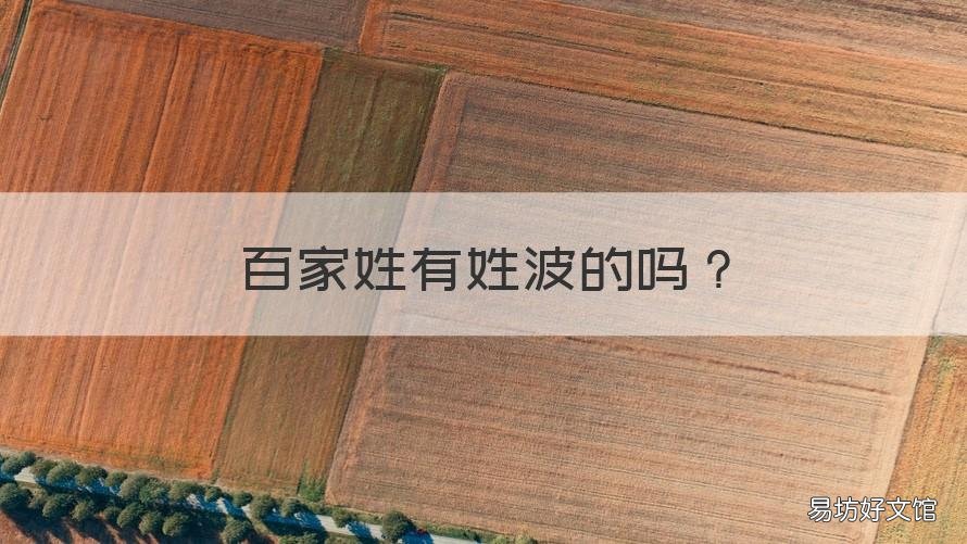 百家姓有姓波的吗 百家姓有没有浪