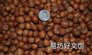 榛子热量高吗 榛子属于高热量的吗