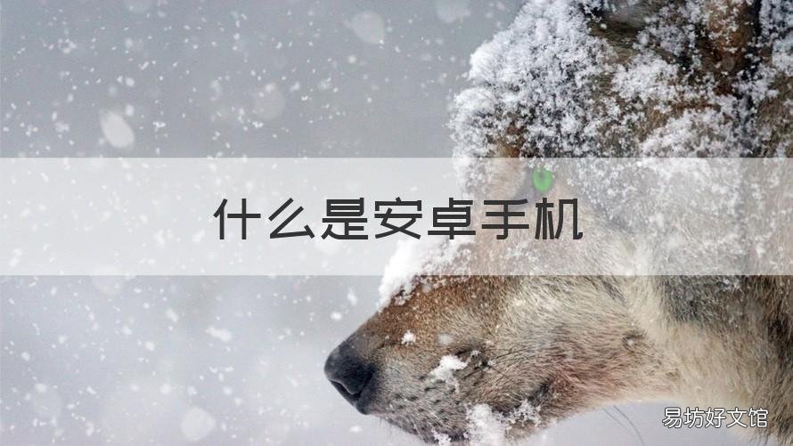 什么是安卓手机 什么是安卓手机充电器