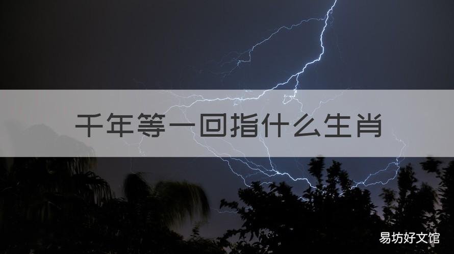 千年等一回指什么生肖 千年等一回代表什么生肖?