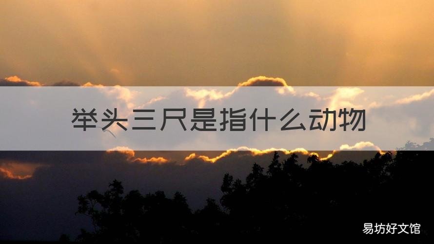 举头三尺是指什么动物