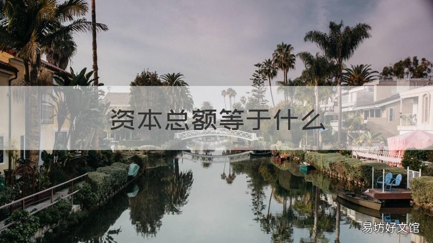 资本总额等于什么 预付资本总额等于什么