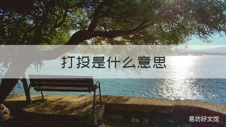 打投是什么意思 打投择什么意思