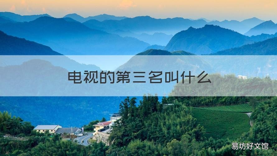 电视的第三名叫什么 电视第二名叫什么