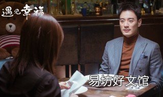 遇见幸福一共多少集 遇见幸福多少集大结局