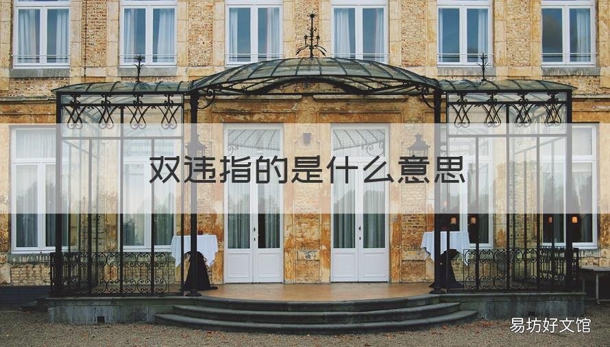 双违指的是什么意思 双违指的是什么意思啊