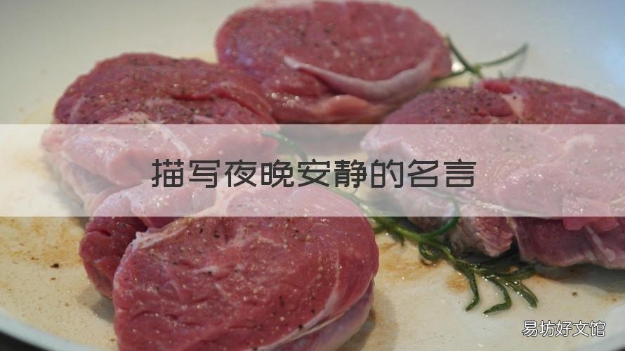 描写夜晚安静的名言 比喻深夜安静的句子