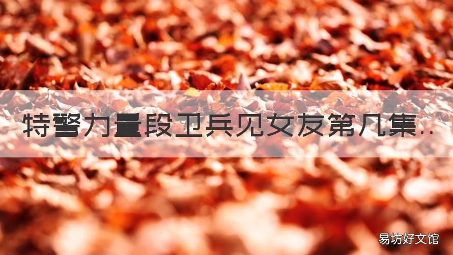 特警力量段卫兵见女友第几集 电视剧特警力量段卫兵的女朋友是谁?