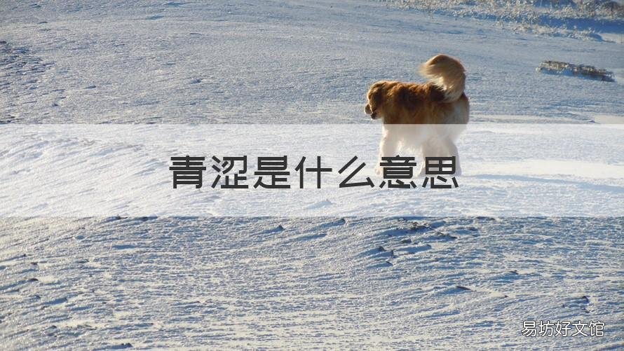 青涩是什么意思 说一个人青涩是什么意思