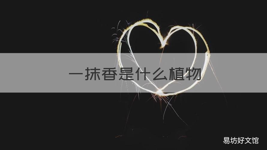 一抹香是什么植物 植物一抹香花是什么