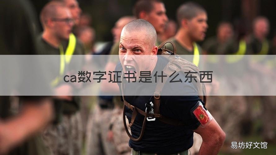 ca数字证书是什么东西 企业ca数字证书是什么东西