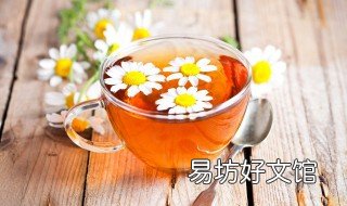 代用茶是什么意思 代用茶包括哪些