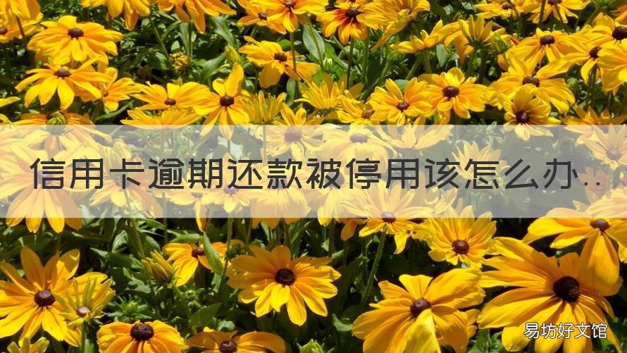 信用卡逾期还款被停用该怎么办 停用的信用卡逾期还完了应该注销吗
