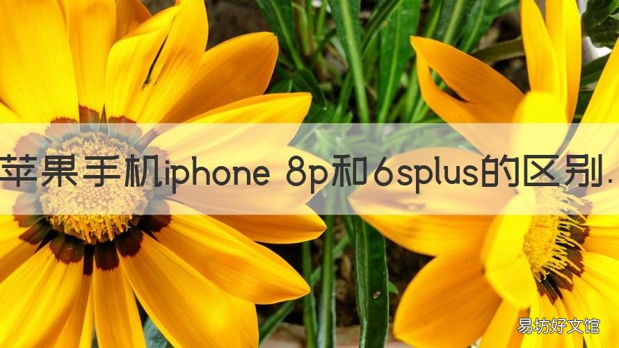 苹果手机iphone 8p和6splus的区别 苹果6sp和8plus的区别大吗